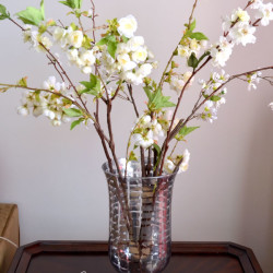 Mercury Glass Vase_createandbabble