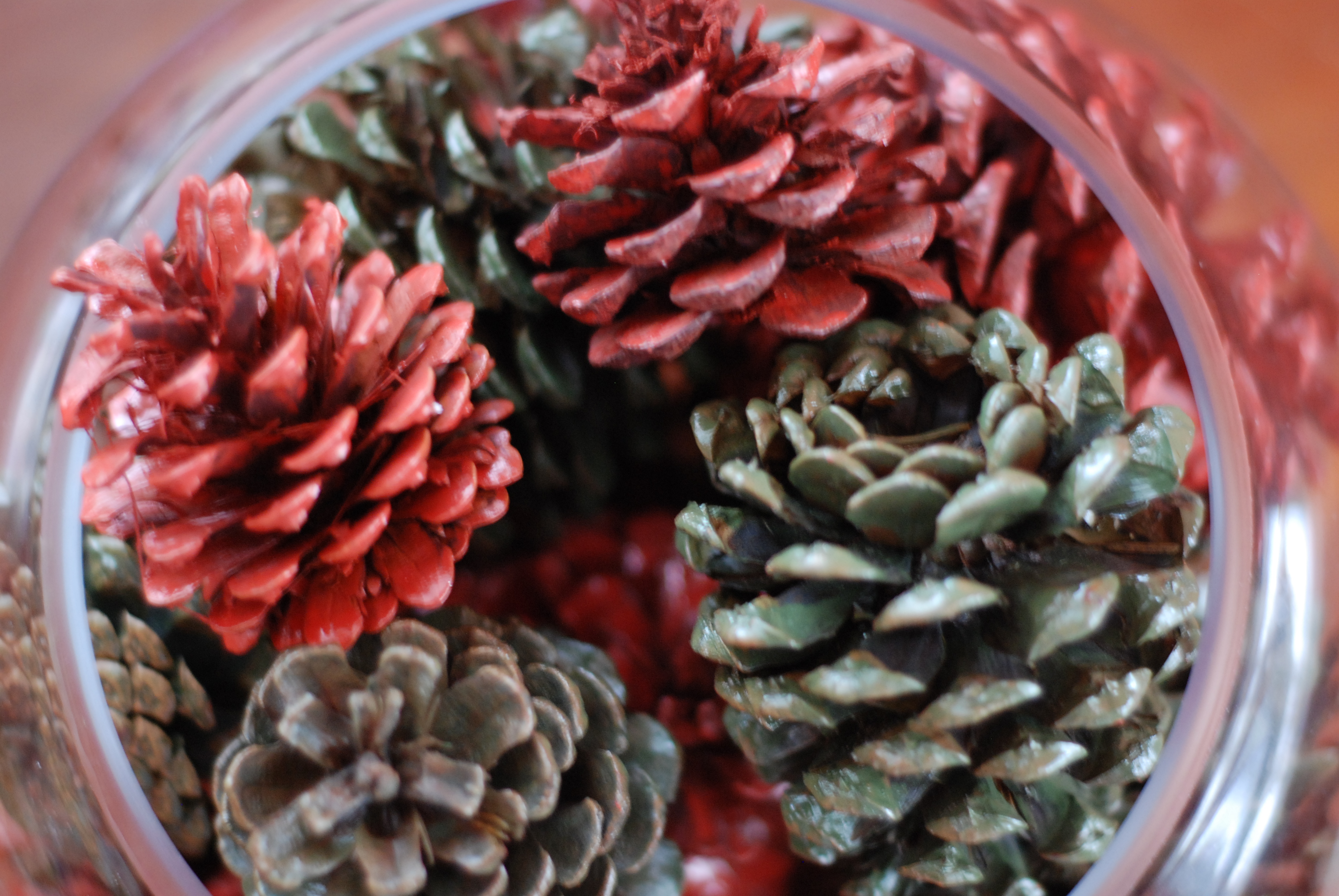 A Quick, Pretty and Easy Pinecone Display