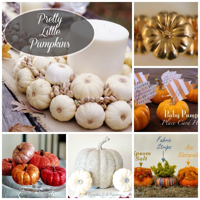 Ideas for on sale small pumpkins