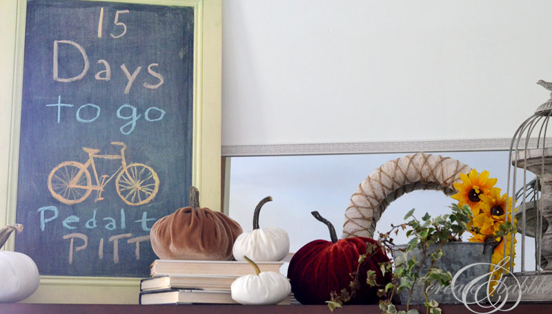 learn how to make stuffed velvet pumpkins with real stems