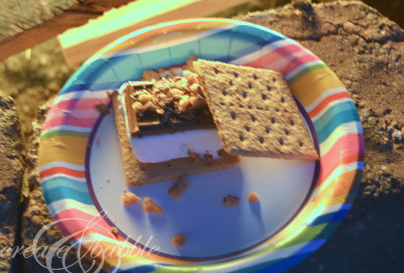 back-yard-beach-smore-party