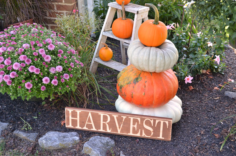 harvest-sign-1