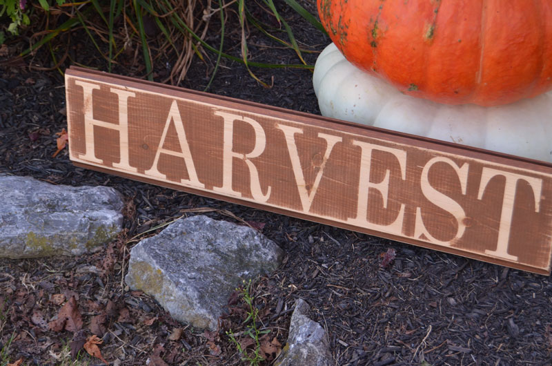 DIY Harvest Signs using PVPP Method - Create and Babble