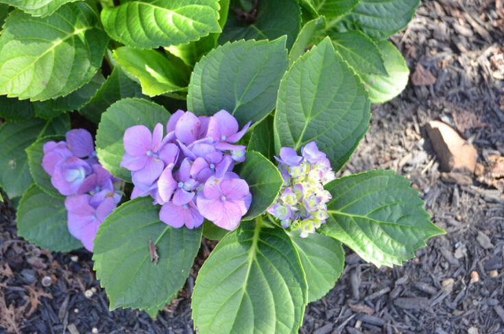 Outdoor Fall Decor Create and Babble