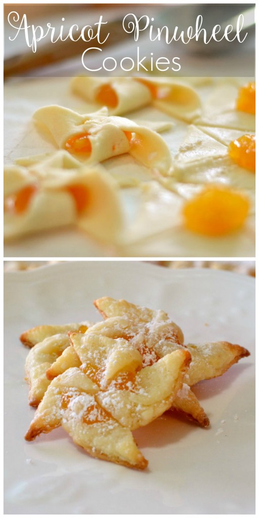 Apricot Pinwheel Cookies_createandbabble..com