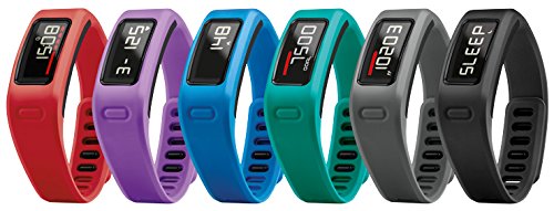 garmin vivo fit