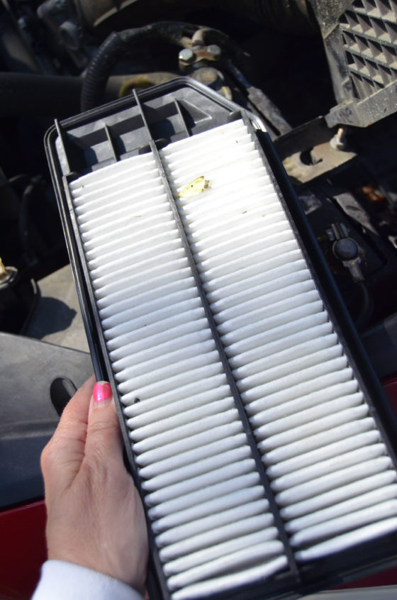 How to Change Your Car's Air Filter
