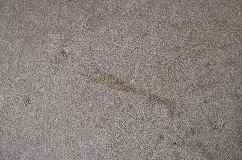 how to deep clean carpets