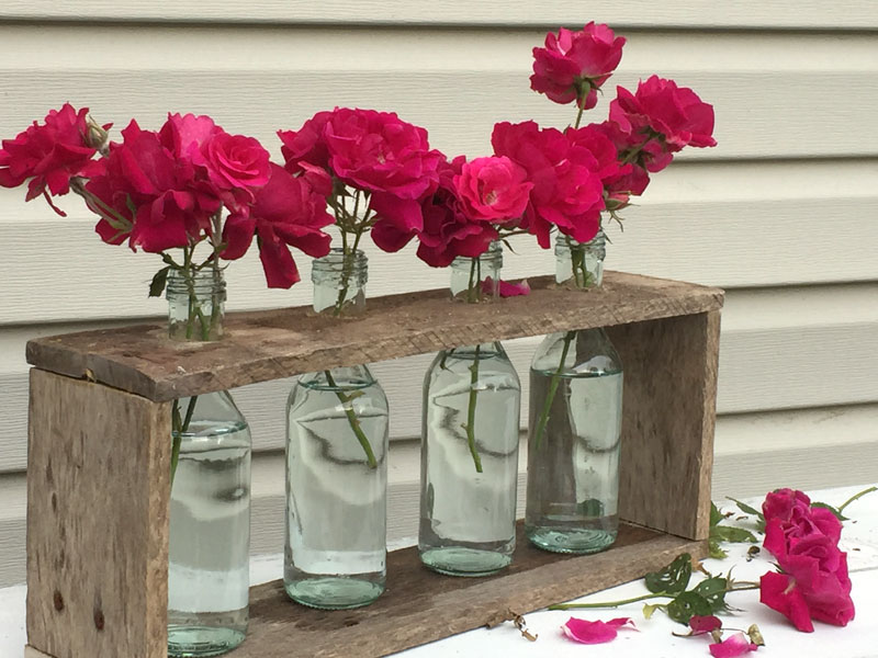 DIY Laboratory Flower Vases in a wooden display rack