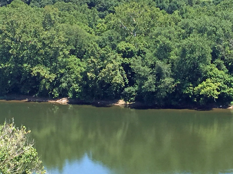 view-of-trail-from-pool