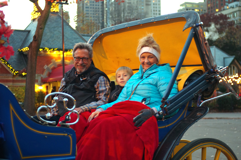 nyc-trip-horse-carriage-ride