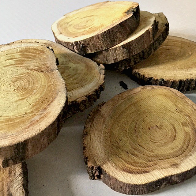 Oak Wood Slice Round with moss