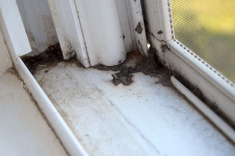 How to Clean Window Sills and Window Tracks