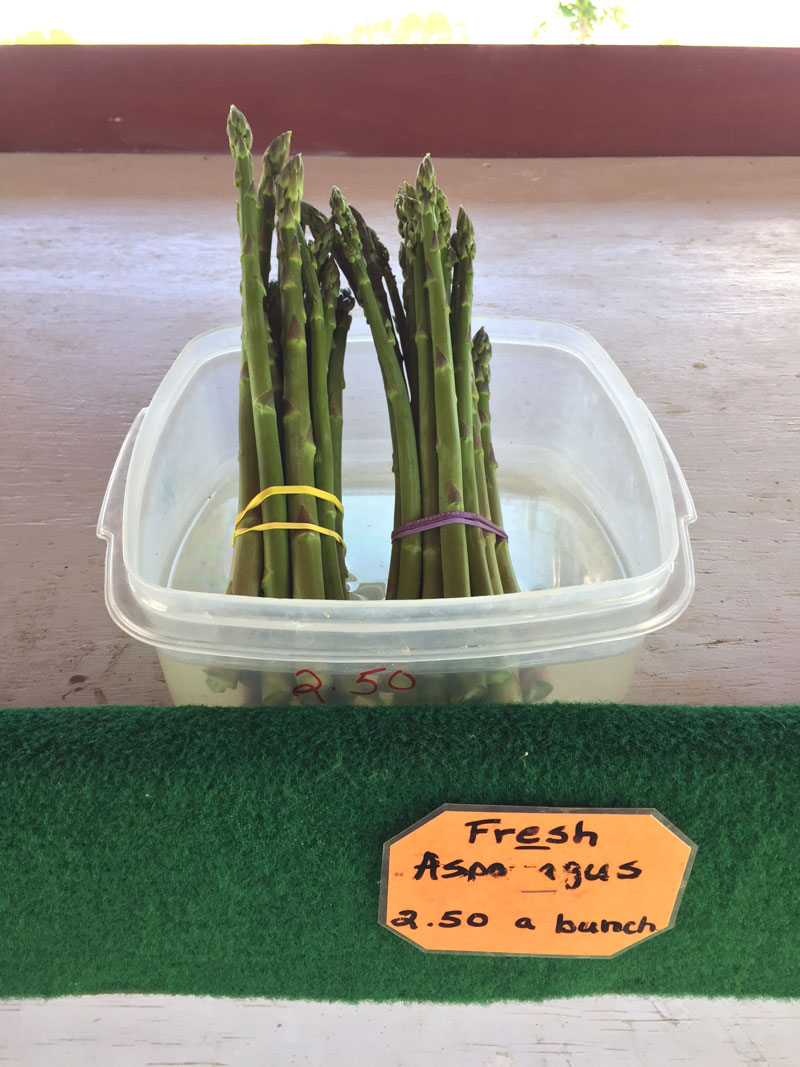 Fresh Asparagus