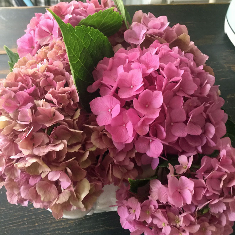 Easy to make hydrangea wreath