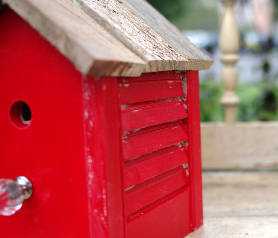 Upcycled Thrift Store Shutter