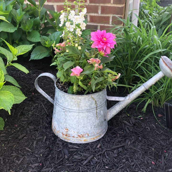 Vintage Watering Can Flower Pot Create and Babble