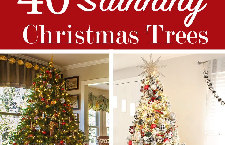 40_Stunning_Christmas_Trees_pin