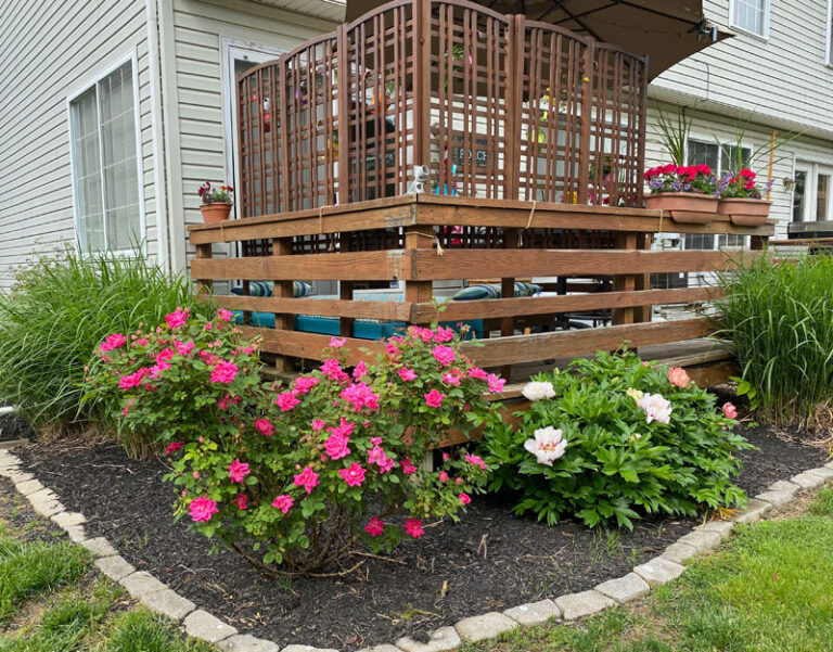 Using Trellises to Add Privacy to a Deck Create and Babble