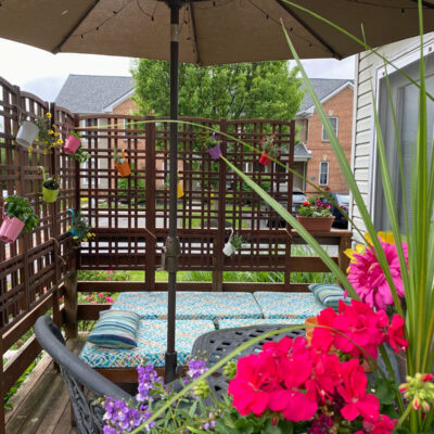 Using Trellises to Add Privacy to a Deck